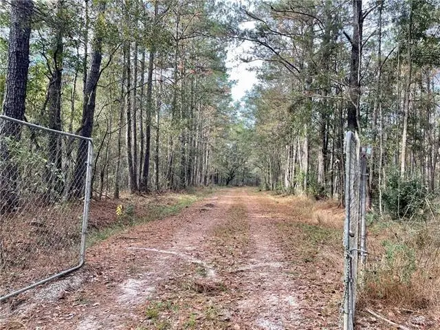 37285 Dummyline Road, Pearl River, LA 70452 - Image #2