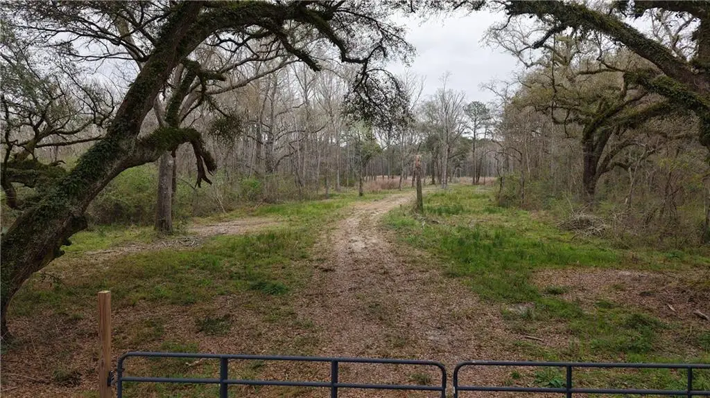 42632 N Thibodeaux Road, Ponchatoula, LA 70454 - #1