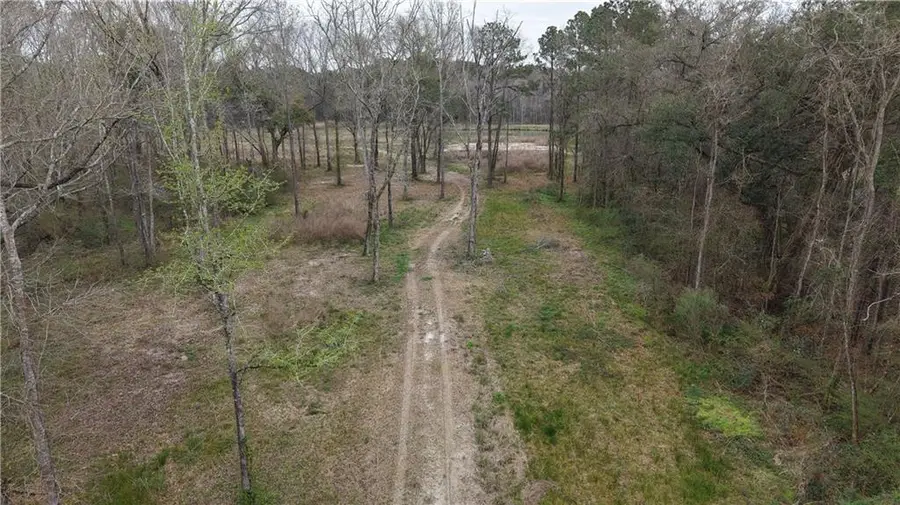 42632 N Thibodeaux Road, Ponchatoula, LA 70454 - #3