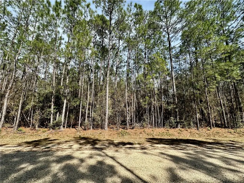 Lot 127 Bobby Jones Drive, Abita Springs, LA 70420 - #1