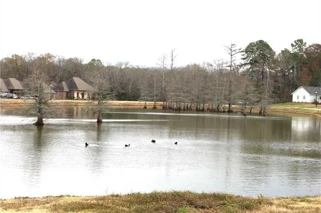 Lady Carolyn Circle, Woodworth, LA 71485 - Image #2