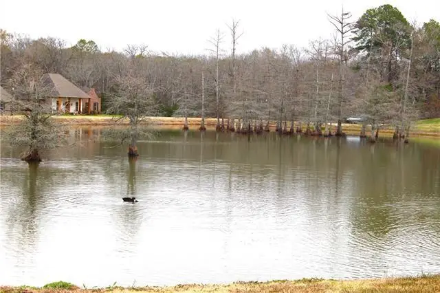 Lady Carolyn Circle, Woodworth, LA 71485 - Image #3