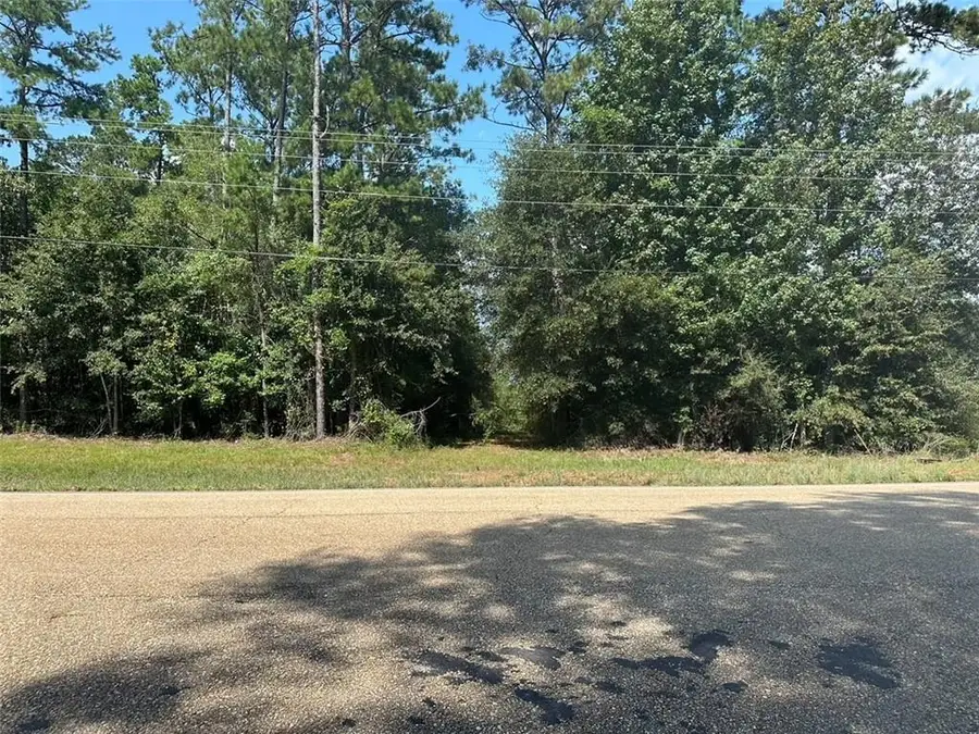 Highway 40 Highway, Bush, LA 70431 - #2