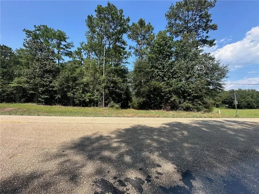 Highway 40 Highway, Bush, LA 70431 - #3