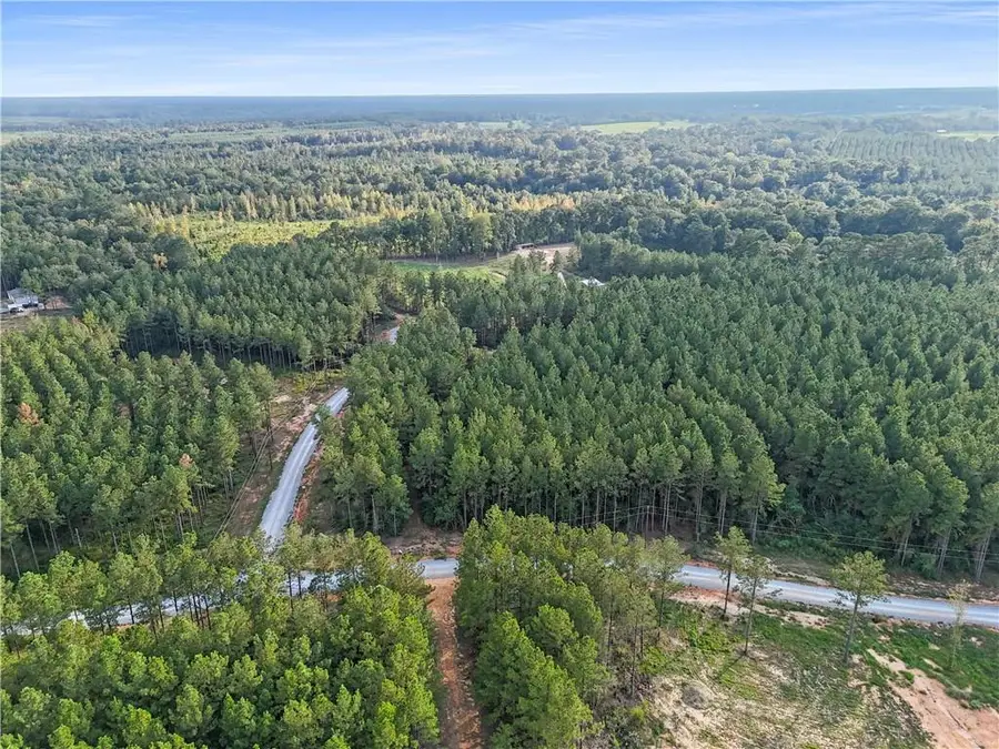 Lot 19 Caro Lane, Franklinton, LA 70438 - Image #2