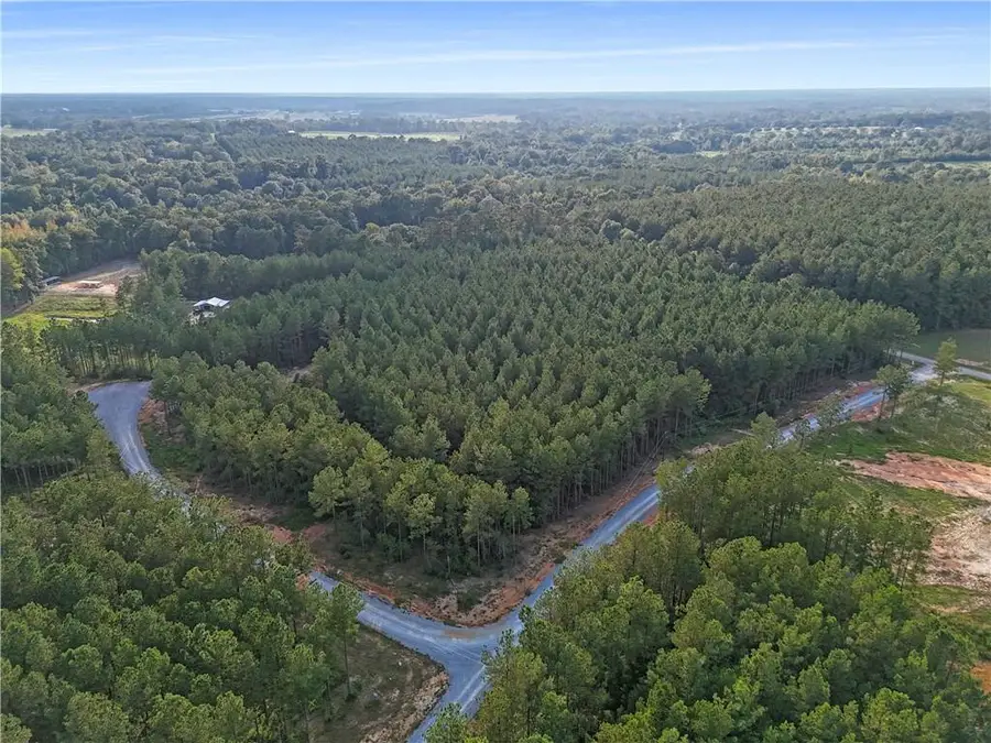Lot 19 Caro Lane, Franklinton, LA 70438 - Image #3