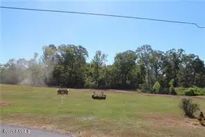 7265 Deville Estates Drive, Deville, LA 71328 - #3