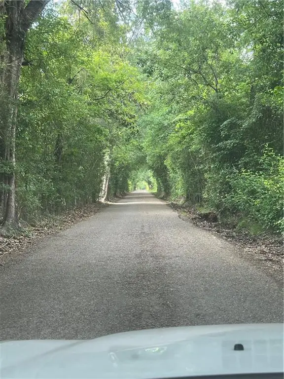 Starry Night Lane, Folsom, LA 70437 - Image #2