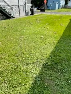 3829 4th Street, New Orleans, LA 70125 - Image #3