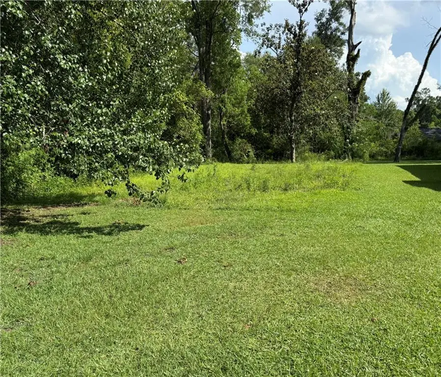 301 White Street, Hammond, LA 70403 - Image #2