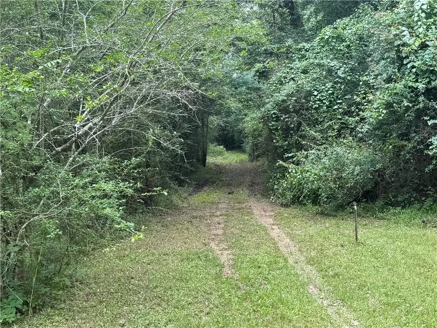 #3