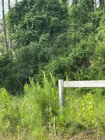 45075 Chemekette Road, Robert, LA 70455 - Image #3