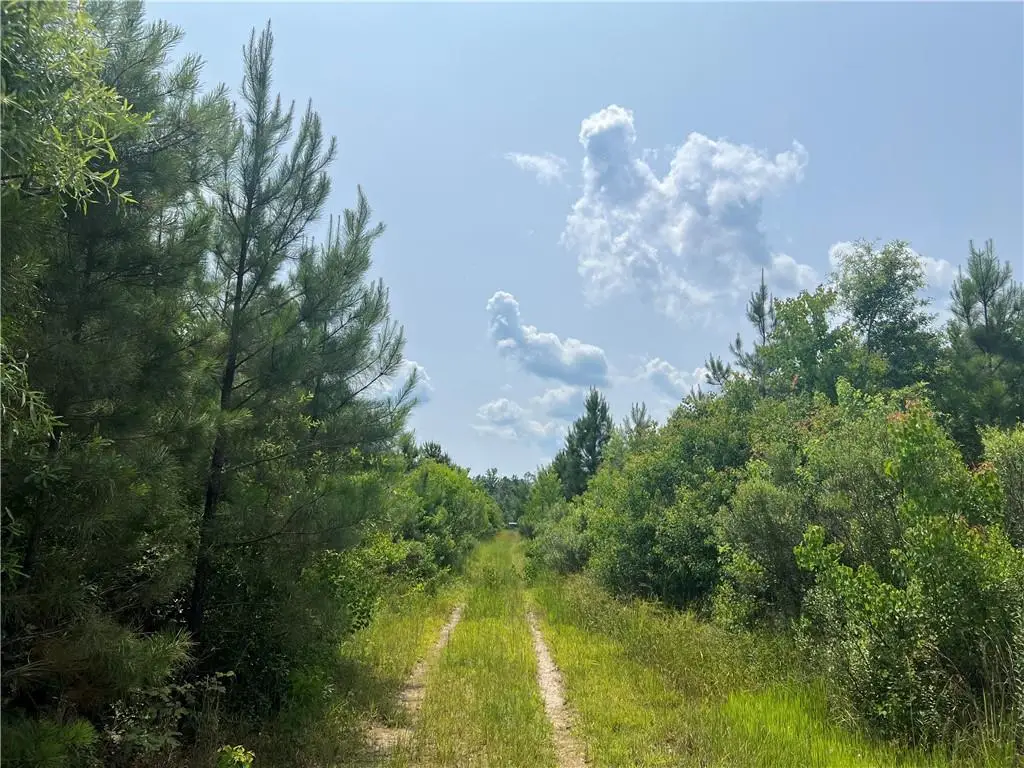 1439 Leonard Chapel Road, Independence, LA 70443 - Image #1