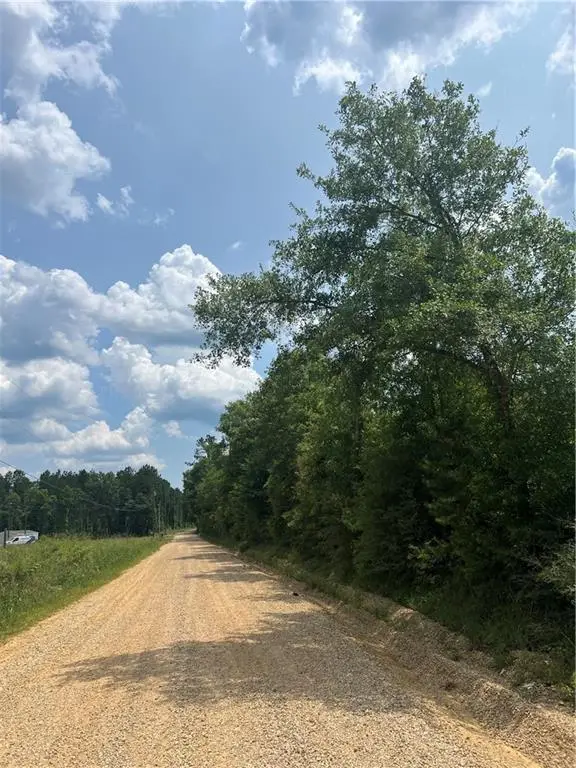 1439 Leonard Chapel Road, Independence, LA 70443 - Image #3