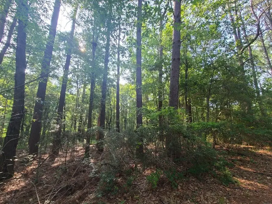 00 Thompson Lane, Carriere, MS 39466 - Image #3