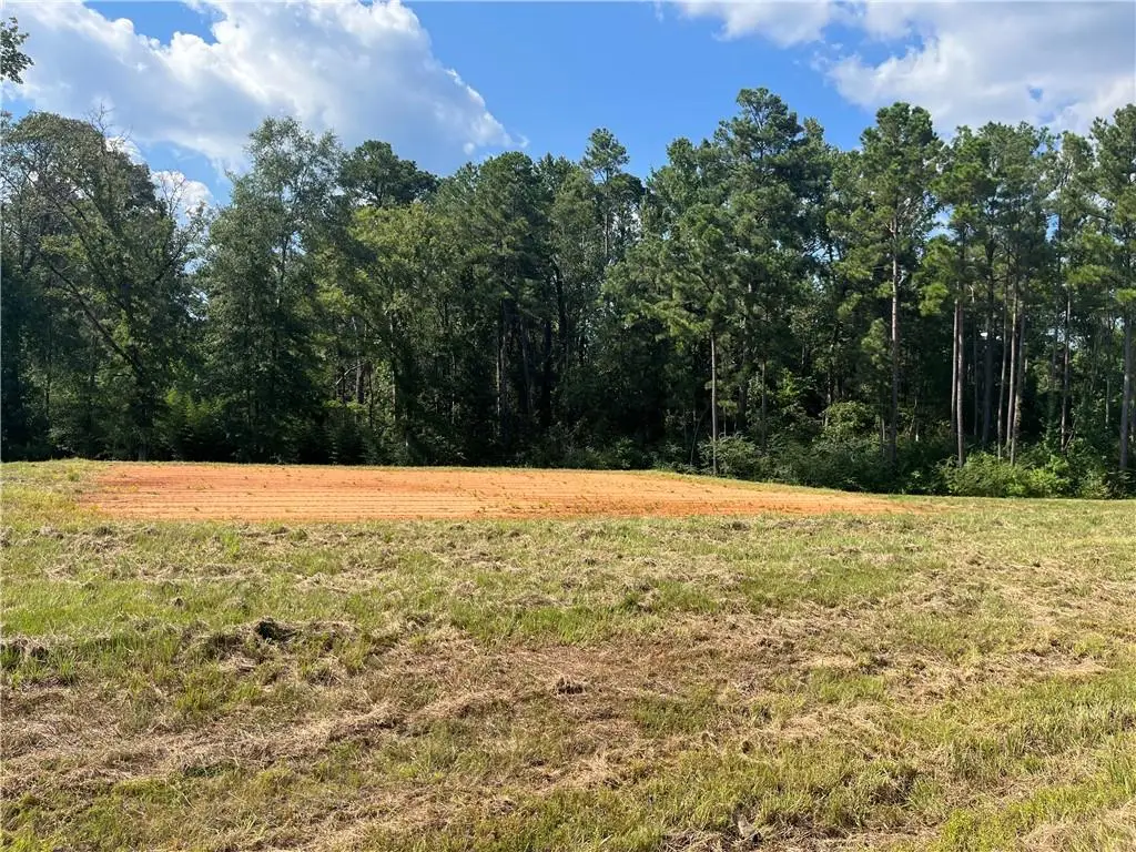 Lot 22 Archie Drive, Dry Prong, LA 71423 - Image #1