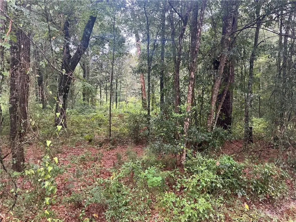 Lots 1A & 12A SQ 8 St. Charles Street, Abita Springs, LA 70420 - Image #1