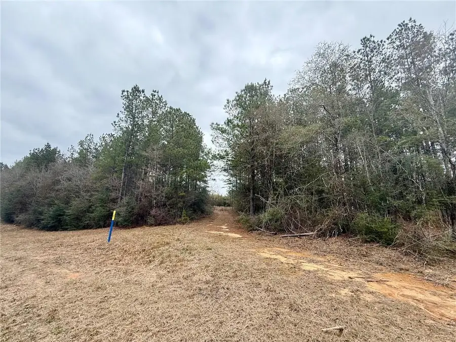 TBD Hidden Hills Drive, Franklinton, LA 70438 - Image #3