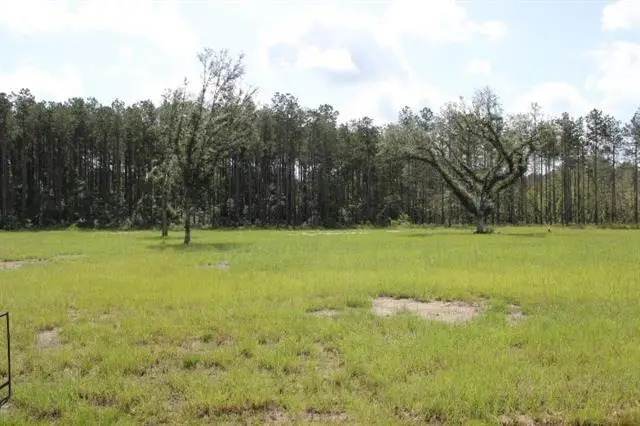 29658 Billy Joe Road, Independence, LA 70443 - #1