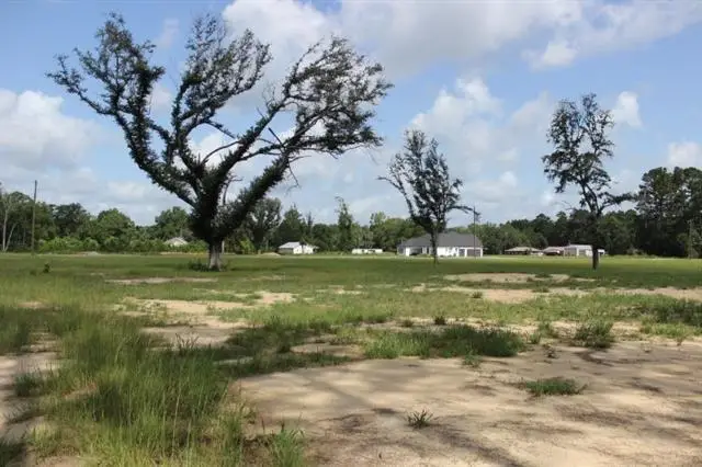 29658 Billy Joe Road, Independence, LA 70443 - #3