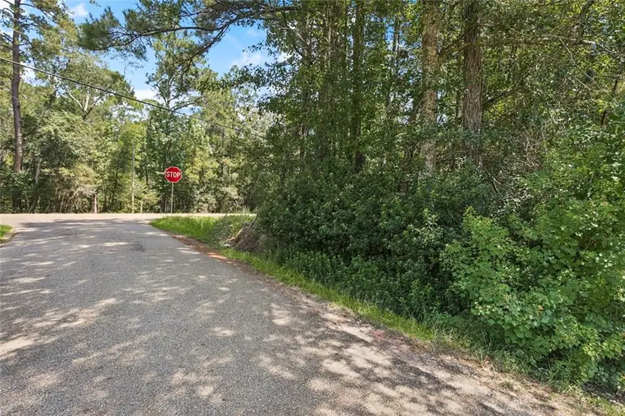 TBD Hwy 40 Highway, Bush, LA 70431 - Image #3