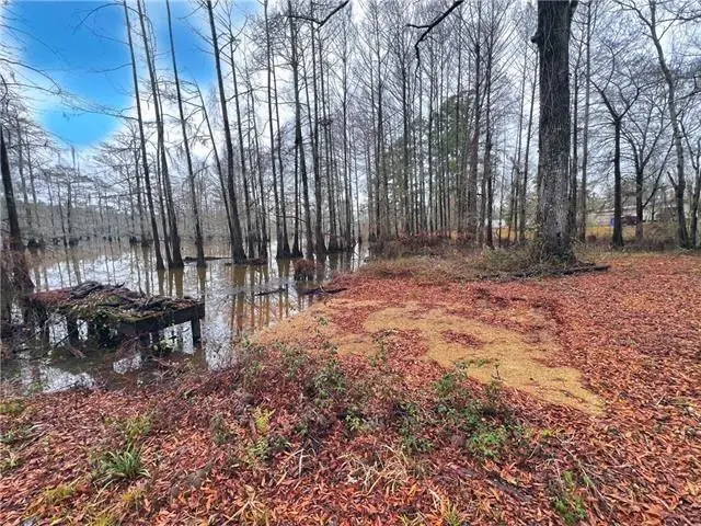 265 Pinckard Road, Colfax, LA 71417 - #2