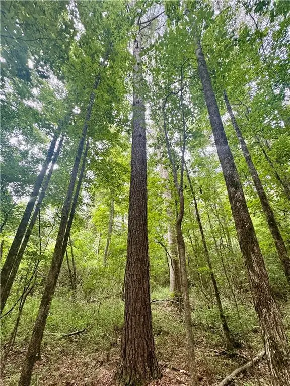 TBD Hwy 6 Highway, Natchitoches, LA 71457 - Image #2