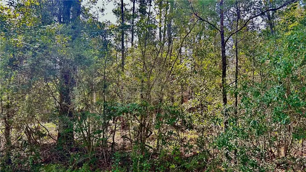 Yorktown Drive, Slidell, LA 70461 - Image #1