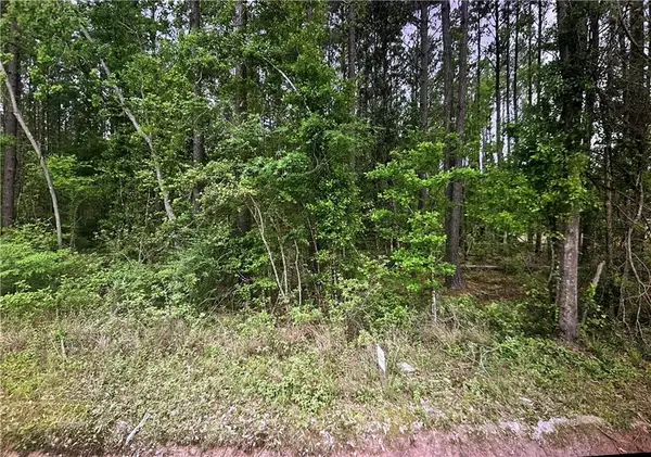 Lot 36 Nesom Road, Denham Springs, LA 70706