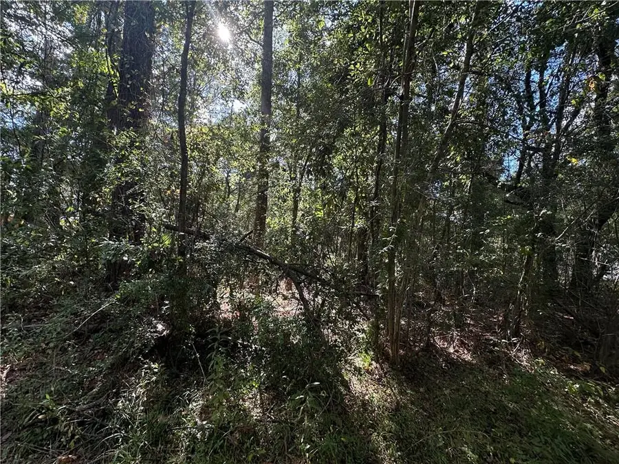 Lot 36 Carnation Street, Covington, LA 70435 - #2