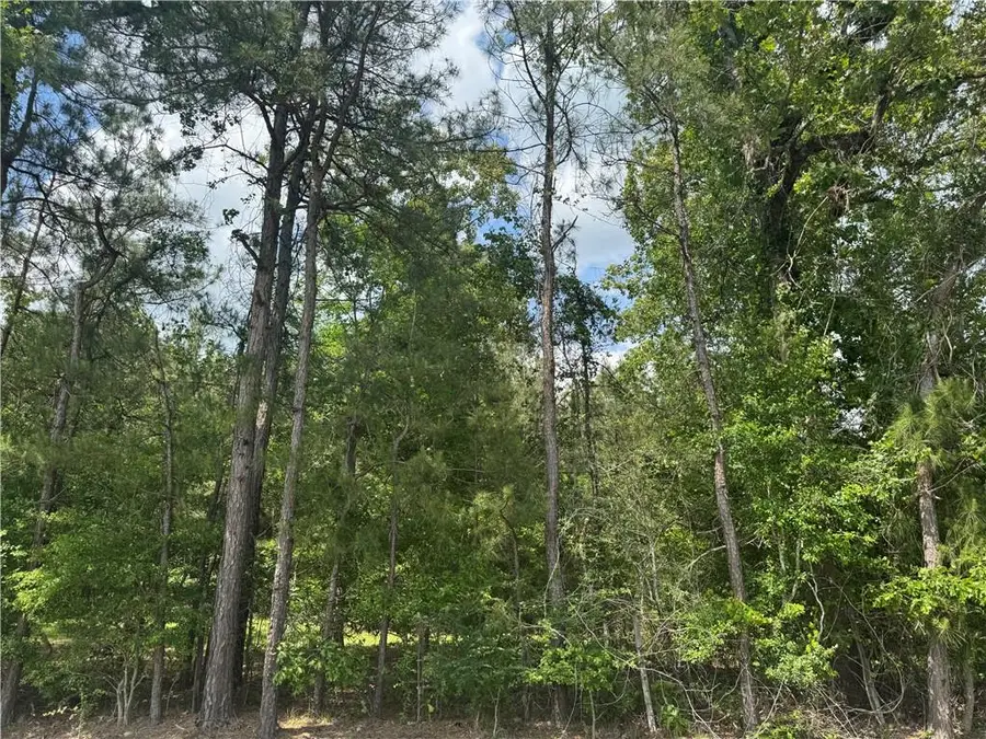 0A Philadelphia Road, Deville, LA 71328 - Image #3