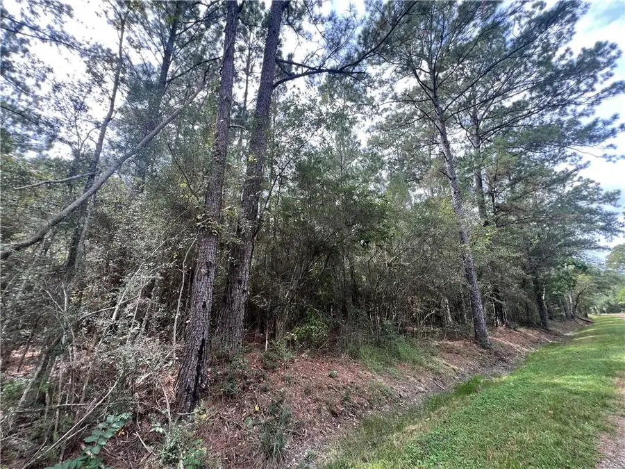 Tampa Circle, Pearlington, MS 39572 - Image #3