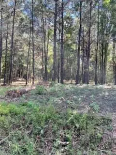 TBD Williams Lake Road, Pineville, LA 71360 - #1