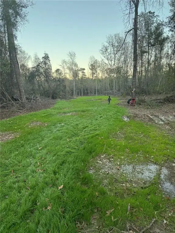 12663 Arcola Road, Roseland, LA 70456 - #3