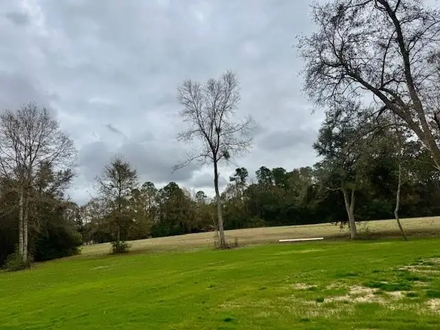 26366 Snead Drive, Abita Springs, LA 70420 - Image #2