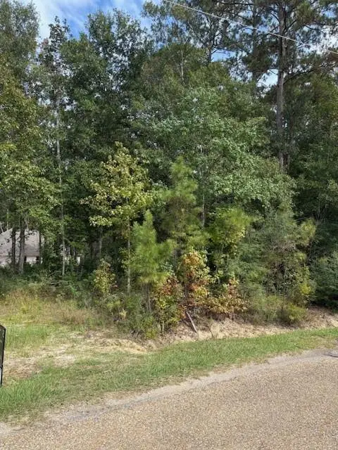 64400 Josephine Street, Pearl River, LA 70452 - #2