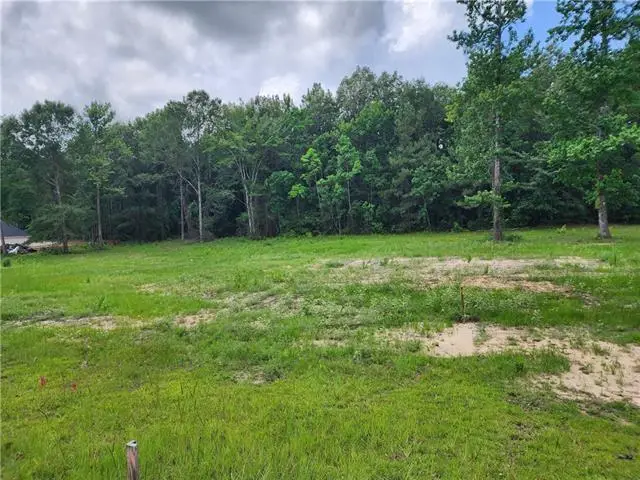 0 Richfield Place, Pineville, LA 71360 - Image #2