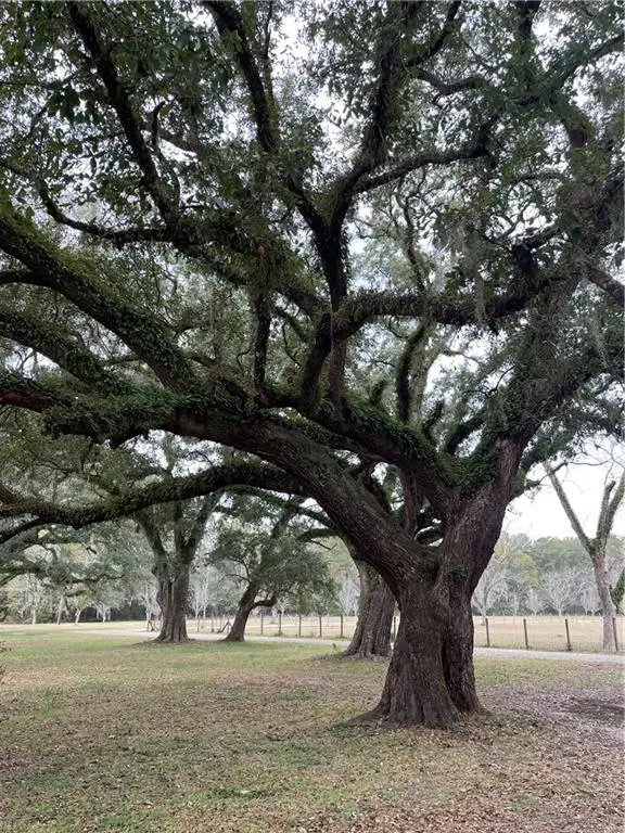 10 Acres Azalea Lane, Lacombe, LA 70445 - Image #3