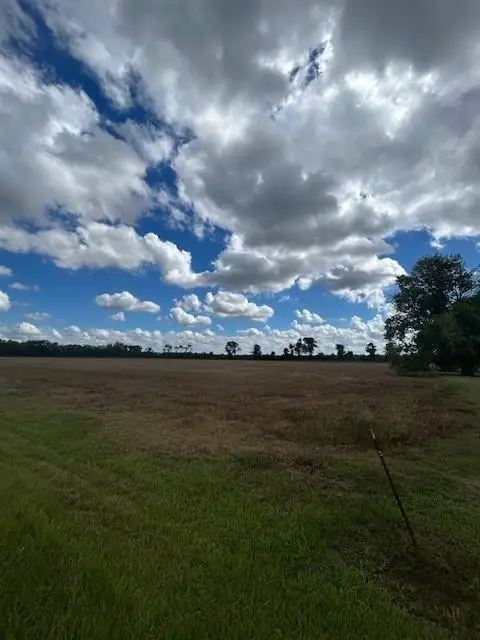 TBD Hwy 115 W Highway, Bunkie, LA 71322 - Image #1