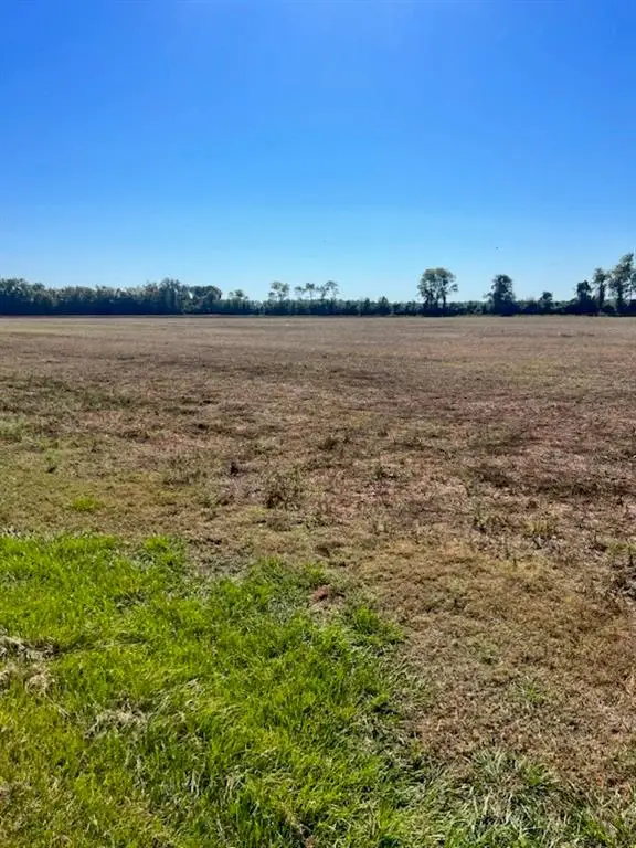 TBD Hwy 115 W Highway, Bunkie, LA 71322 - Image #3