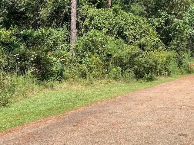 0 Sq 29 Crain Street, Abita Springs, LA 70420 - #2