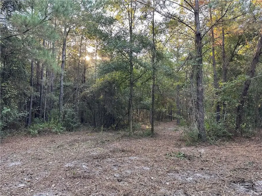 Cow Lane, Ponchatoula, LA 70454 - #2