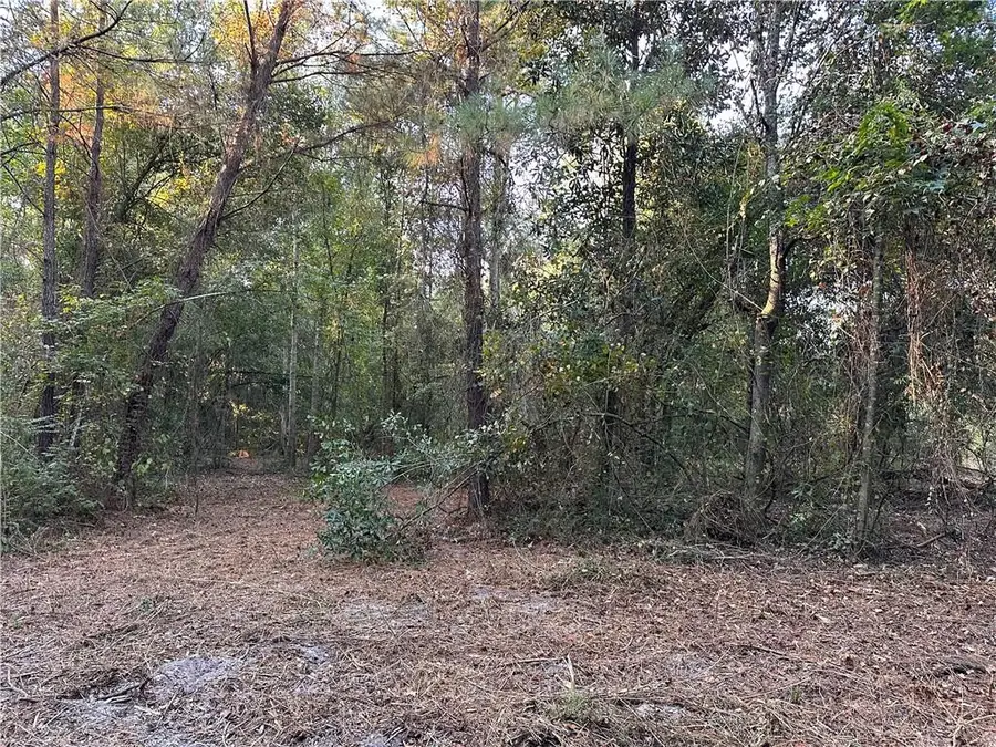 Cow Lane, Ponchatoula, LA 70454 - #3