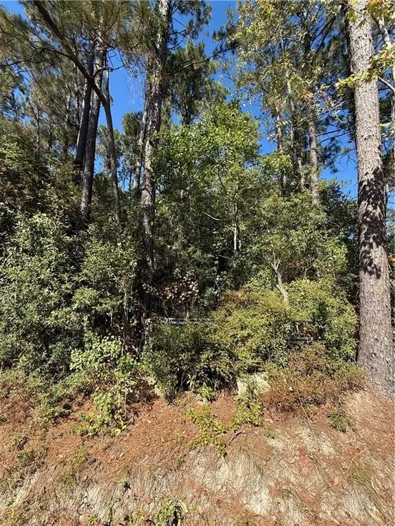 Baham Road, Covington, LA 70433 - Image #2