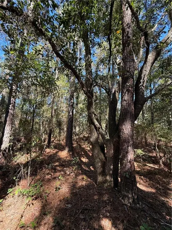 Baham Road, Covington, LA 70433 - Image #3