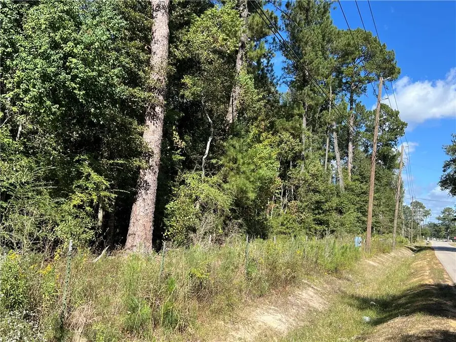 Lot W Fontana Road, Independence, LA 70443 - Image #3