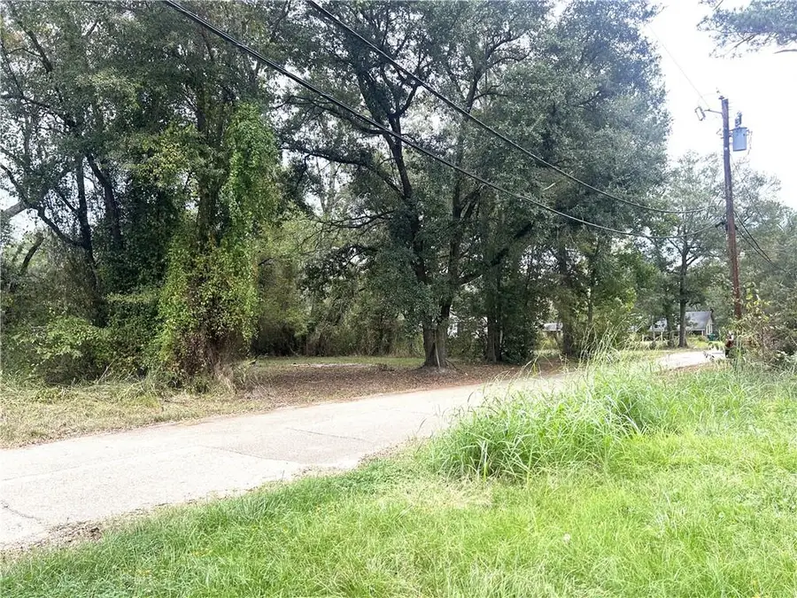 104 E Newman Street, Hammond, LA 70403 - Image #2