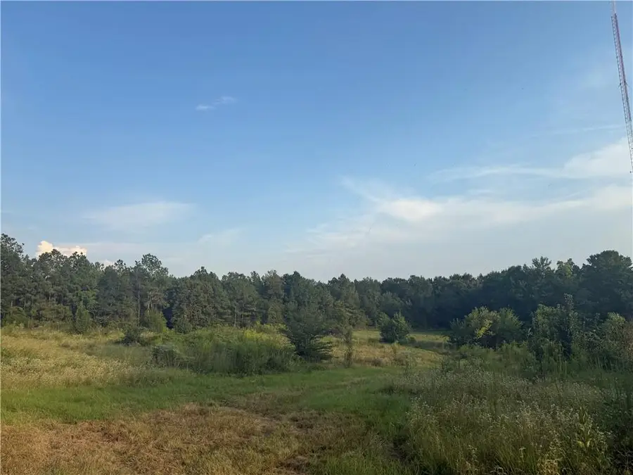 1916 Bayou Maria Road, Pineville, LA 71360 - #3