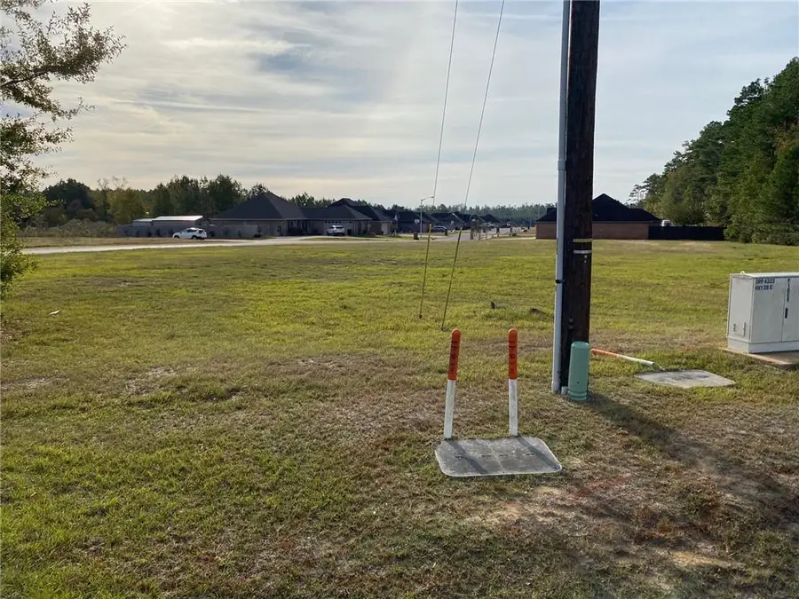 0 Highway 28 East Highway, Pineville, LA 71360 - Image #2