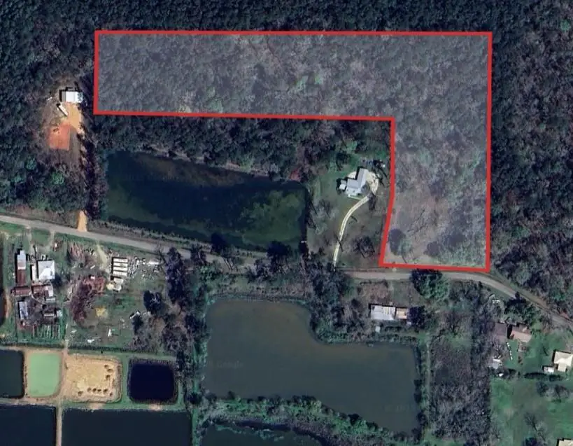 Bennett Road, Holden, LA 70744 - Image #2